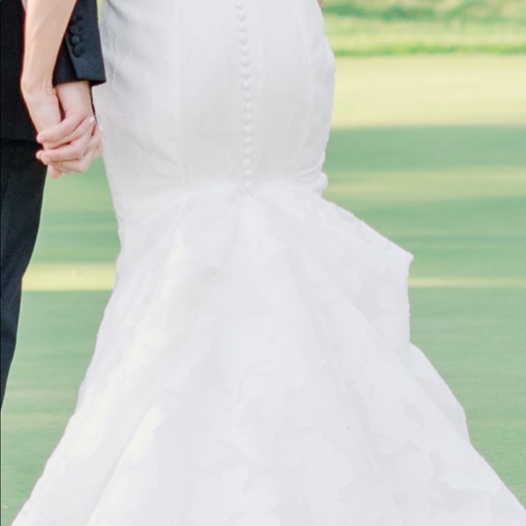 Anne Barge Blue Willow Wedding Dress (Walker style) - Picture 14 of 16